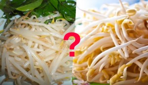 Khi ăn bún phở nên ăn giá trụng hay giá sống?