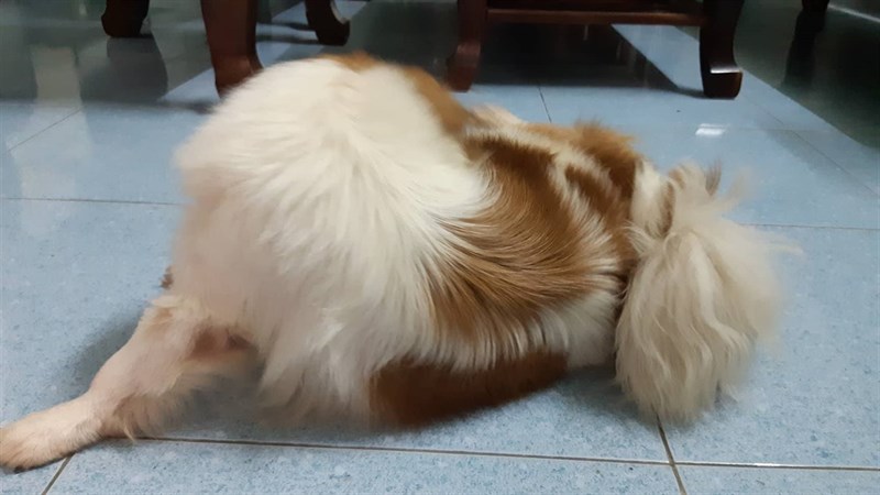 Trải nghiệm nhanh camera Galaxy A8 2018