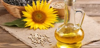 Hạn sử dụng của dầu ăn và cách nhận biết dầu ăn hết hạn