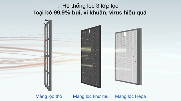 Máy lọc không khí Coway AP-1009CH 