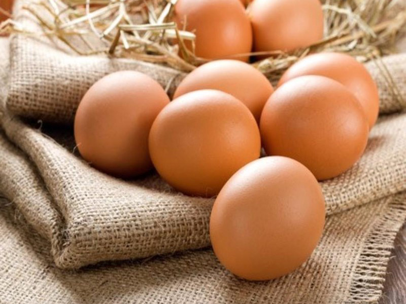 Trứng đóng vai trò quan trọng trong quá trình sản sinh testosterone