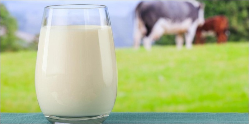 Sữa bò gây ung thư tuyến tiền liệt: thực hư thế nào?