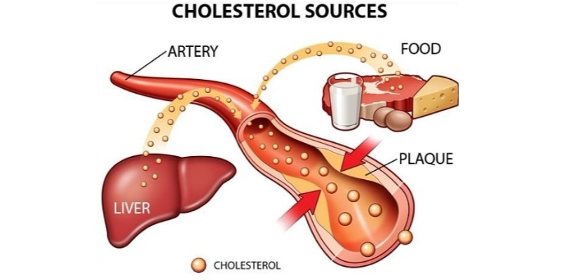 Ăn hải sản có giúp bạn giảm lượng cholesterol trong máu