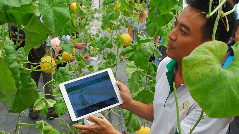 Hydroponics, phương pháp thủy canh kết hợp smartphone trong nông nghiệp - ảnh 5 Hydroponics, phương pháp thủy canh kết hợp smartphone trong nông nghiệp - ảnh 5