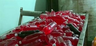 Cảnh báo nguy cơ nước ngọt giả giá rẻ thâm nhập thị trường
