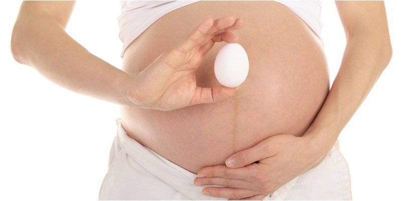 Mẹ bầu ăn trứng ngỗng có giúp con thông minh?