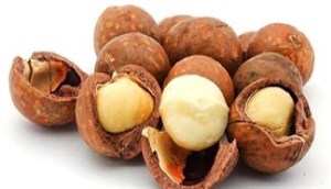 Hạt macadamia có thực sự là “Nữ hoàng của các loại hạt”?