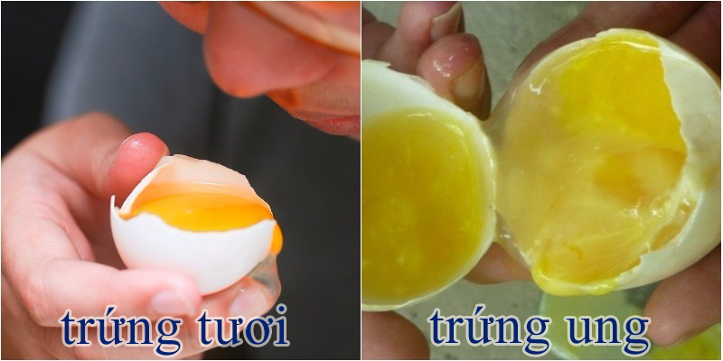 Nhìn sơ biết trứng có ung không bằng các mẹo sau