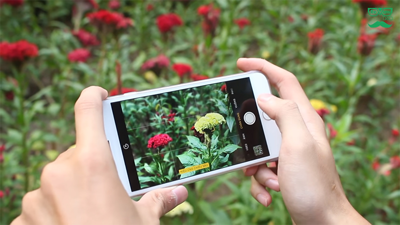 zoom video zoom video