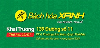 Siêu thị Bách hoá XANH 139 Đường Số 11 khai trương ngày 22/01/2018