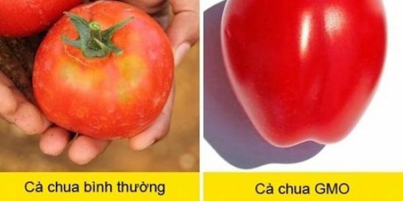 Thực phẩm hữu cơ thường có hình dáng hay màu sắc không bắt mắt, kích thước đa dạng hoặc có dấu hiệu của vết côn trùng cắn do nuôi trồng tự nhiên.