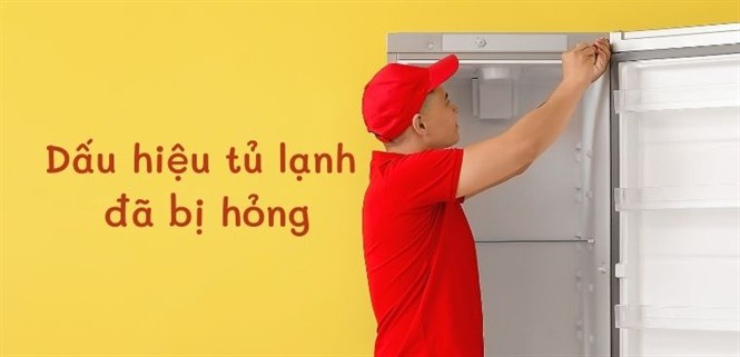 8 dấu hiệu tủ lạnh đã bị hỏng mà người dùng nên biết