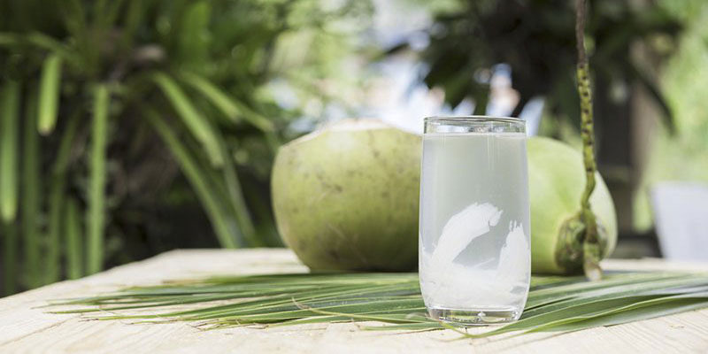Uống nước dừa mỗi ngày giúp thanh lọc cơ thể, giải độc gan