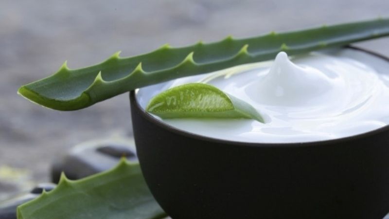 How to make delicious and simple aloe vera yogurt at home