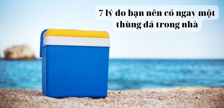 7 lý do bạn nên có ngay một thùng đá trong nhà