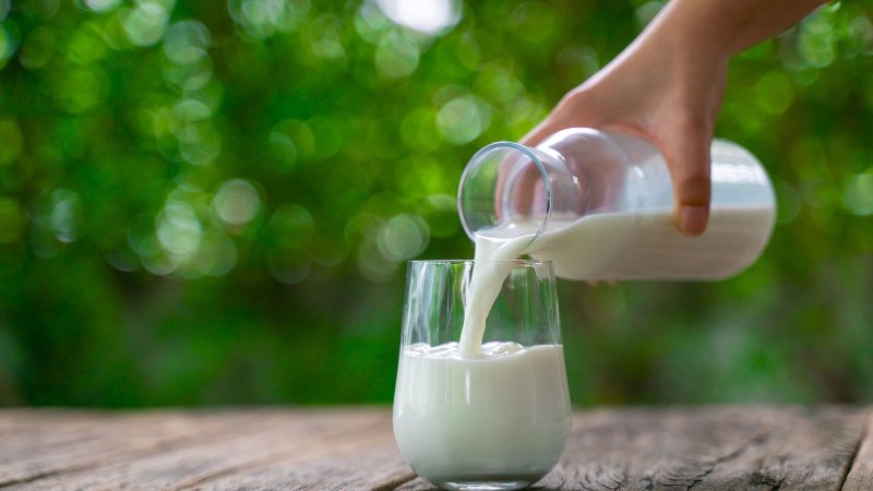 Những lưu ý khi uống sữa tươi không đường