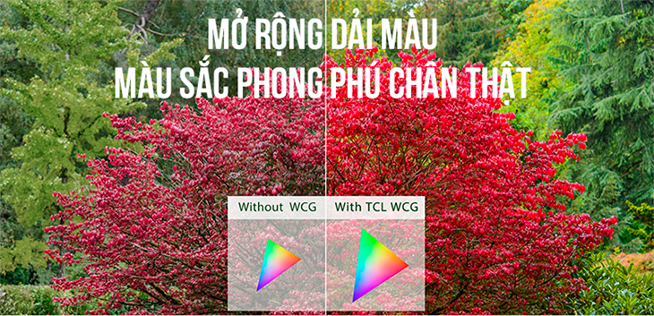 Mua tivi TCL C2L tính năng cực đã, quà tặng bao la không lo về giá