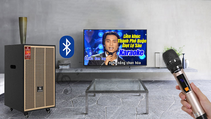 Đầu tư dàn karaoke với loa kéo giúp bạn tiết kiệm chi phí