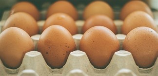 Bạn có đang bảo quản trứng đúng cách?