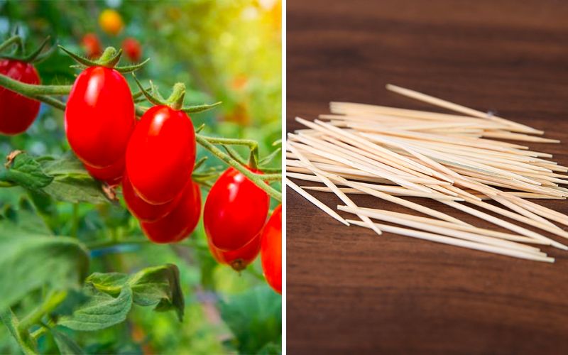 Nguyên liệu xếp cà chua bi hình trái tim Nguyên liệu xếp cà chua bi hình trái tim
