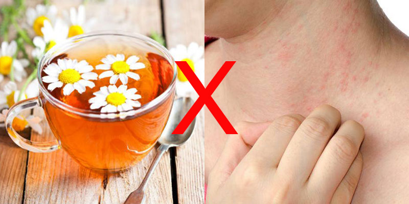 Không nên uống trà hoa cúc khi đang bị bệnh