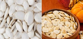 Bạn đã biết cách phân biệt hạt bí Trung Quốc và Việt Nam?