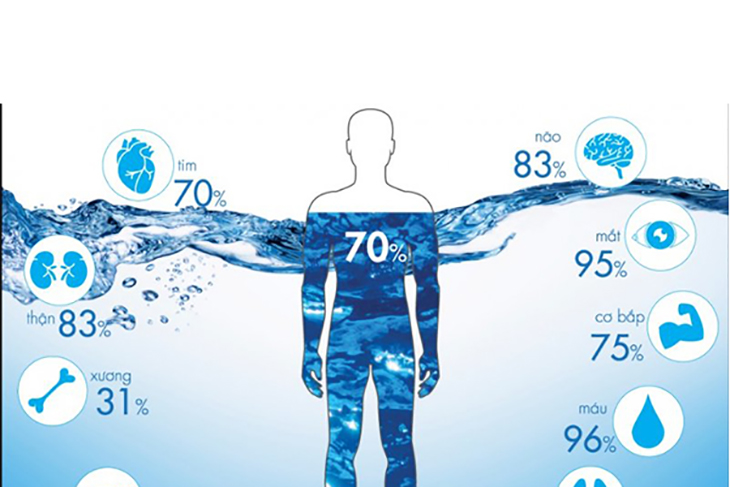 Nước quan trọng thế nào đối với sức khỏe