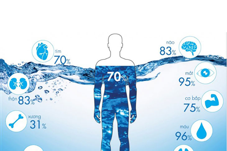 Vai trò của nước đối với cơ thể con người. Nhu cầu nước theo từng lứa tuổi