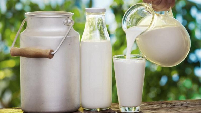 Sữa tươi có hàm lượng dinh dưỡng cao hơn hẳn sữa trái cây