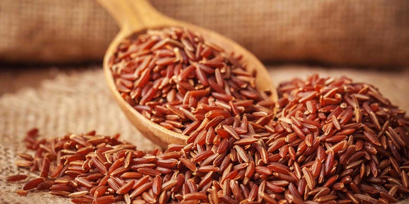 100gr gạo lứt chứa khoảng 7,2 grams protein nhiều hơn so với gạo trắng