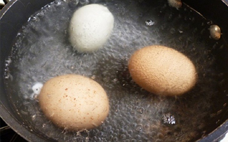Có nên dùng bình đun siêu tốc để luộc trứng? > Có nên dùng bình đun siêu tốc để luộc trứng?