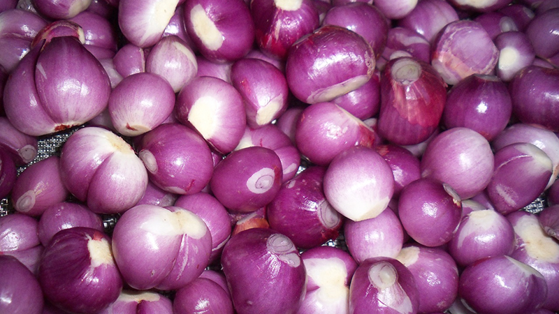 Hành tím có tác dụng rất tích cực trong việc trị sẹo, thâm. Hành tím có tác dụng rất tích cực trong việc trị sẹo, thâm.