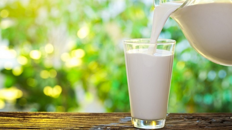 Thành phần và công dụng của sữa tươi