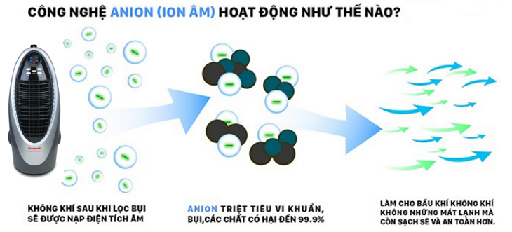 Nhá»¯ng Ä‘iá»u báº¡n cáº§n biáº¿t vá» mÃ¡y lÃ m mÃ¡t khÃ´ng khÃ­ Honeywell