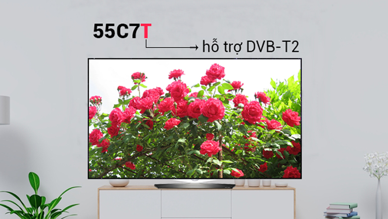 hỗ trợ DVB-T2