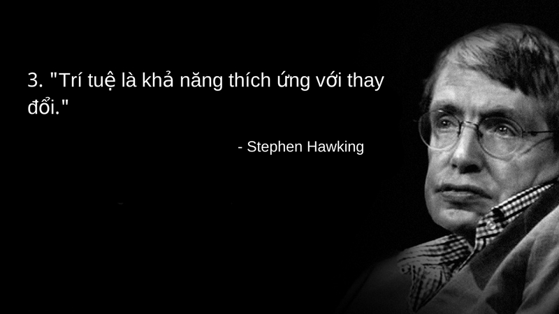 stephen hawking tri tue là kha nang thich ung voi su thay doi