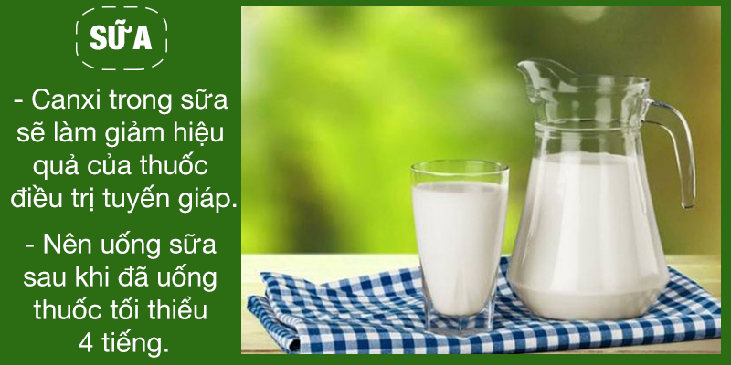 Canxi trong sữa sẽ làm giảm hiệu quả của thuốc điều trị tuyến giáp. Nên uống sữa sau khi đã uống thuốc tối thiểu 4 tiếng.