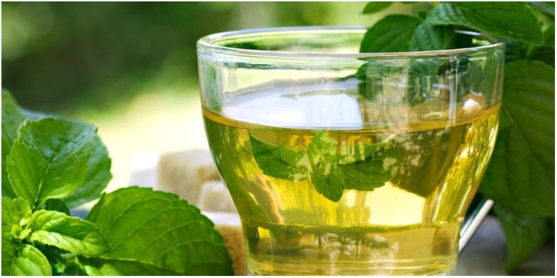 Trà bạc hà như một loại thuốc giúp ngừa thai Trà bạc hà như một loại thuốc giúp ngừa thai