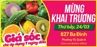 Siêu thị Bách hoá XANH 827 Ba Đình khai trương 24/03/2018