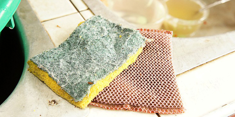 Kể cả khi đã được vệ sinh bằng cách đun sôi, miếng bọt biển rửa bát vẫn chứa chất bẩn và vô số mầm bệnh Kể cả khi đã được vệ sinh bằng cách đun sôi, miếng bọt biển rửa bát vẫn chứa chất bẩn và vô số mầm bệnh