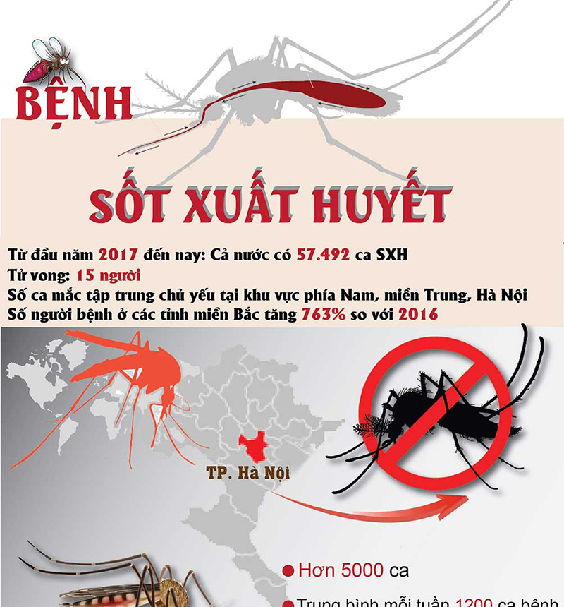 Những điều cần biết về bệnh sốt xuất huyết