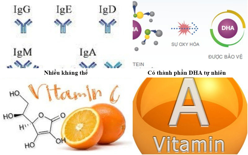 Các thành phần và công dụng của chúng trong sữa mẹ