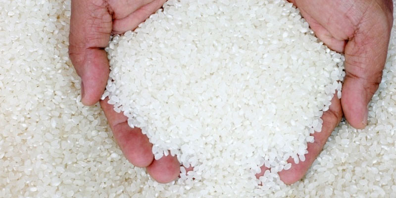 Gạo tấm chứa phôi và cám gạo nên rất bổ dưỡng