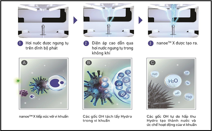 Cơ chế hoạt động của công nghệ NanoeX
