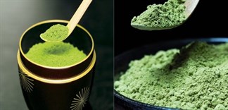 3 bước để nhanh chóng phân biệt chất lượng bột trà xanh Matcha