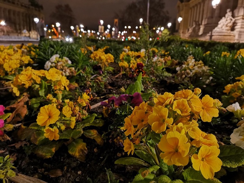 Chiêm ngưỡng Paris qua camera của Huawei P20 Pro Chiêm ngưỡng Paris qua camera của Huawei P20 Pro