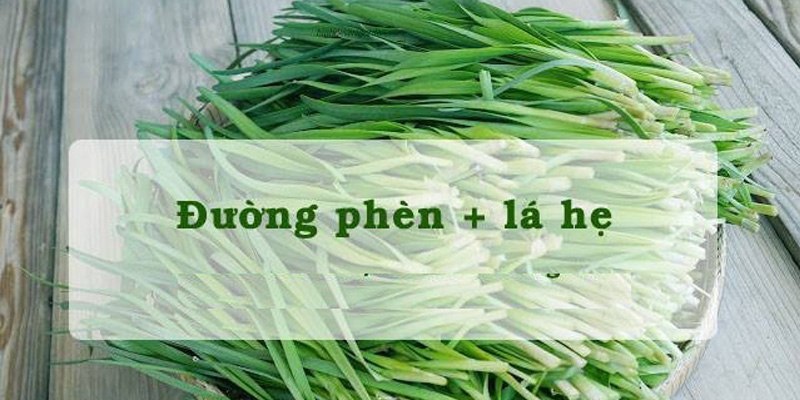 Lá hẹ đường phèn trị ho