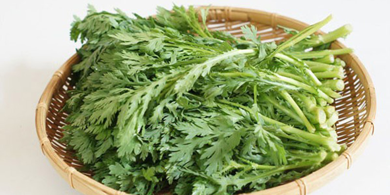 Rau cải cúc giảm huyết áp