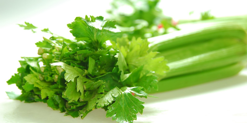 Cần tây giảm huyết áp