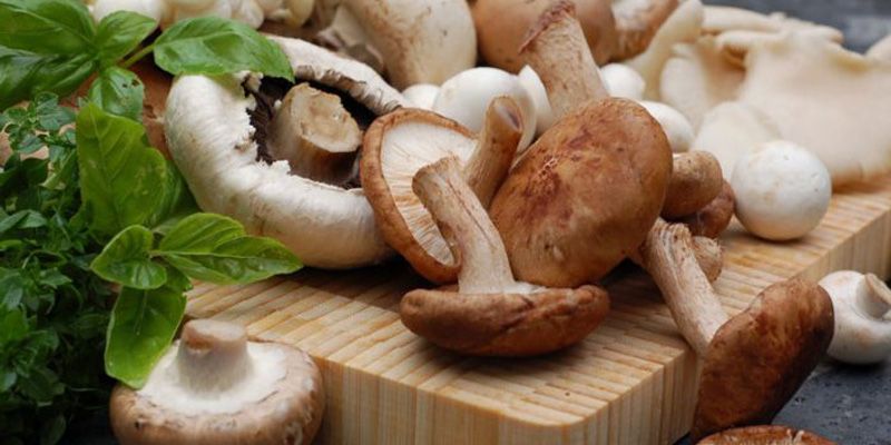 Nấm hương giảm huyết áp
